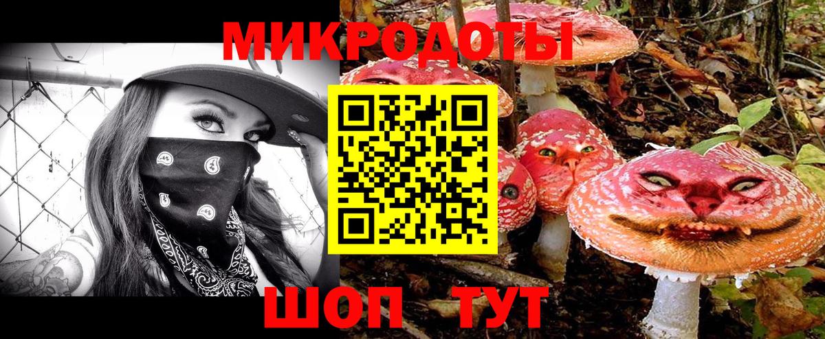 Псилоцибиновые грибы GOLDEN TEACHER Темрюк